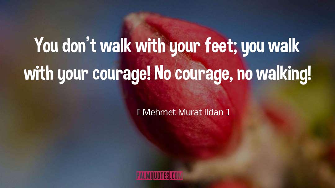 Christian Walk quotes by Mehmet Murat Ildan