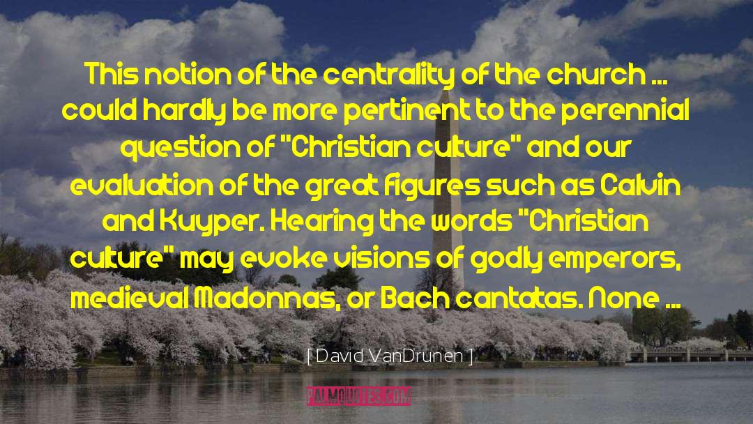 Christianity Culture quotes by David VanDrunen