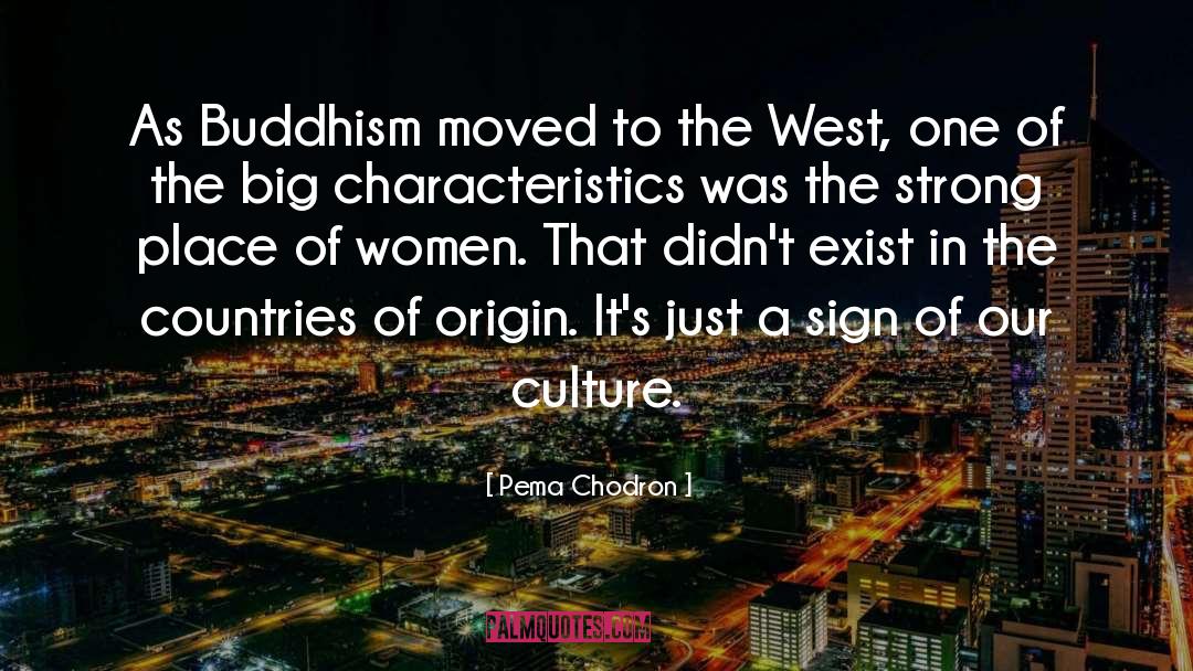 Christianity Culture quotes by Pema Chodron