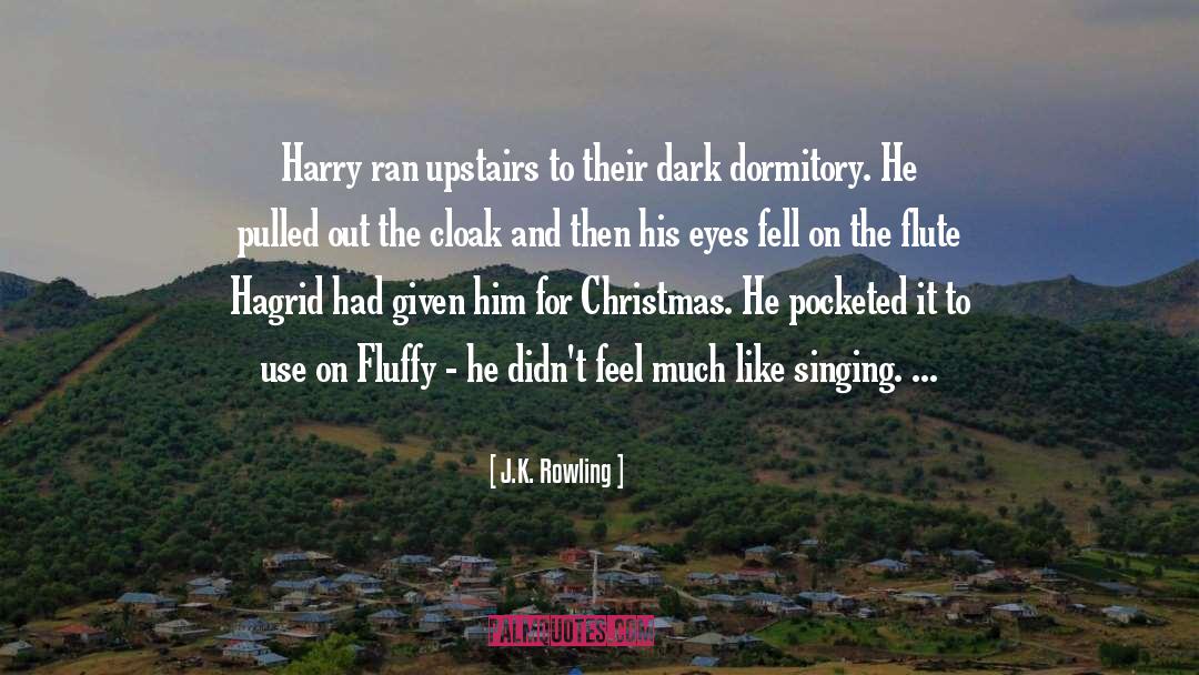 Christmas Books quotes by J.K. Rowling