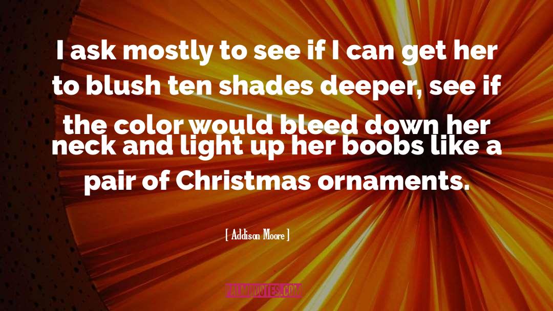 Christmas Celebration quotes by Addison Moore