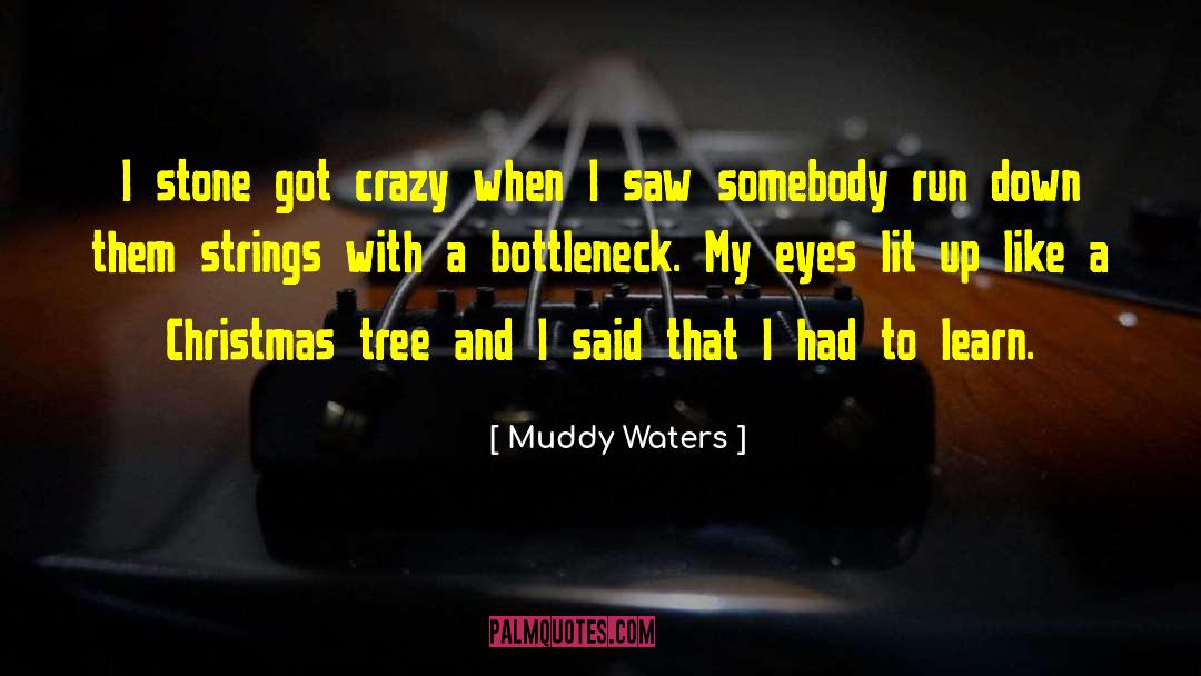 Christmas Choir quotes by Muddy Waters