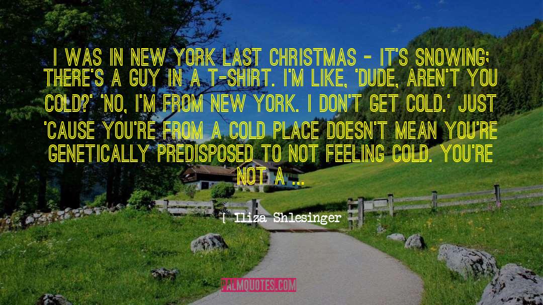 Christmas Day quotes by Iliza Shlesinger