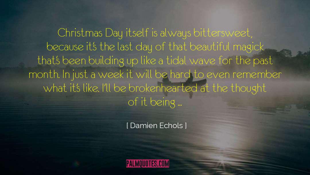 Christmas Day quotes by Damien Echols