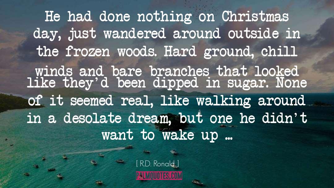 Christmas Day quotes by R.D. Ronald