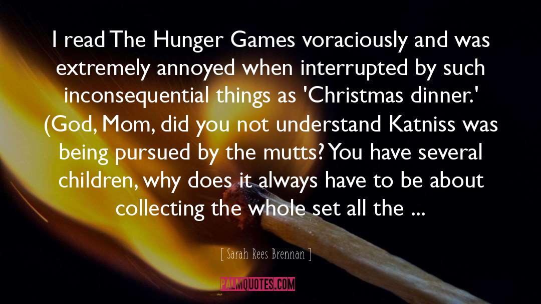 Christmas Dinner quotes by Sarah Rees Brennan
