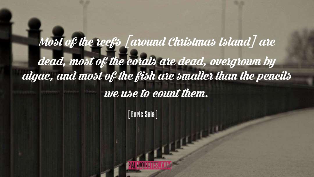 Christmas Fuss quotes by Enric Sala