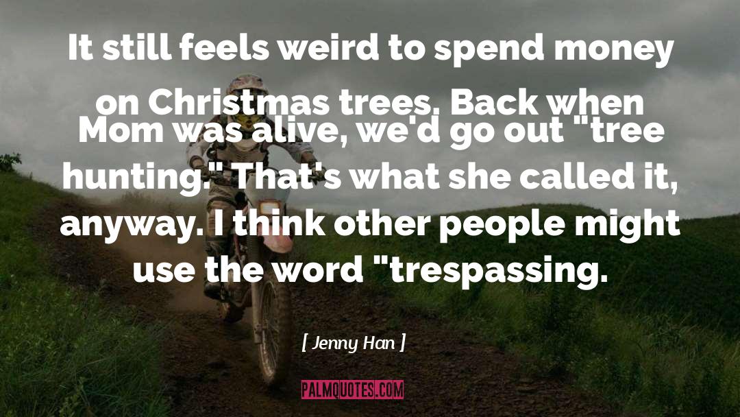 Christmas Holiday quotes by Jenny Han