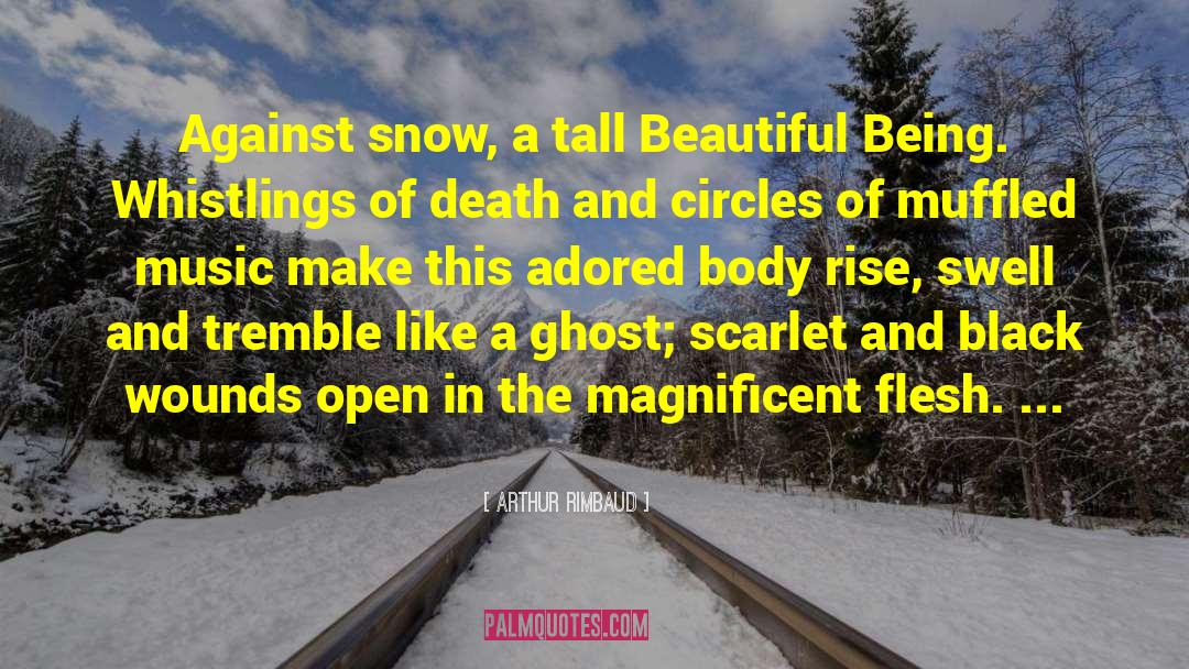 Christmas In The Snow quotes by Arthur Rimbaud