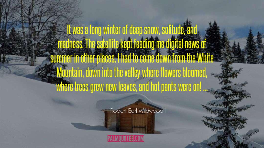 Christmas In The Snow quotes by Robert Earl Wildwood