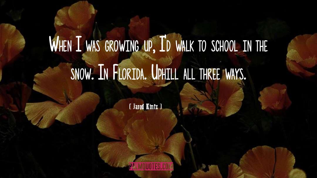 Christmas In The Snow quotes by Jarod Kintz