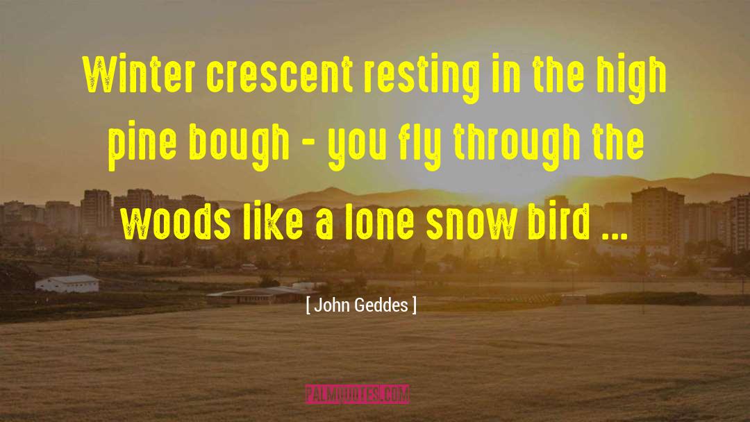 Christmas In The Snow quotes by John Geddes