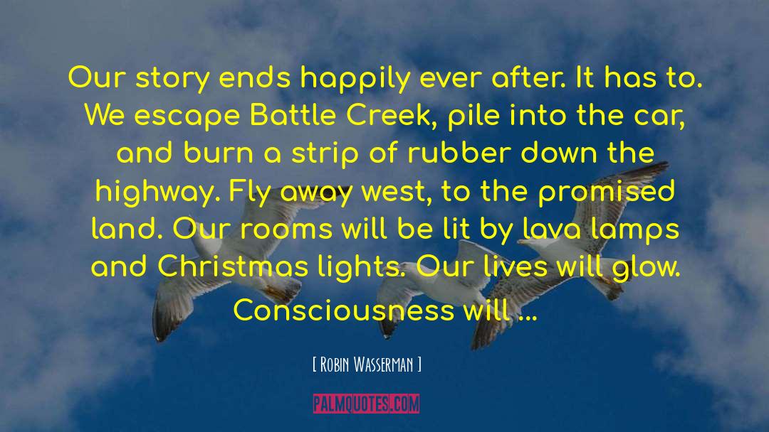 Christmas Lights quotes by Robin Wasserman