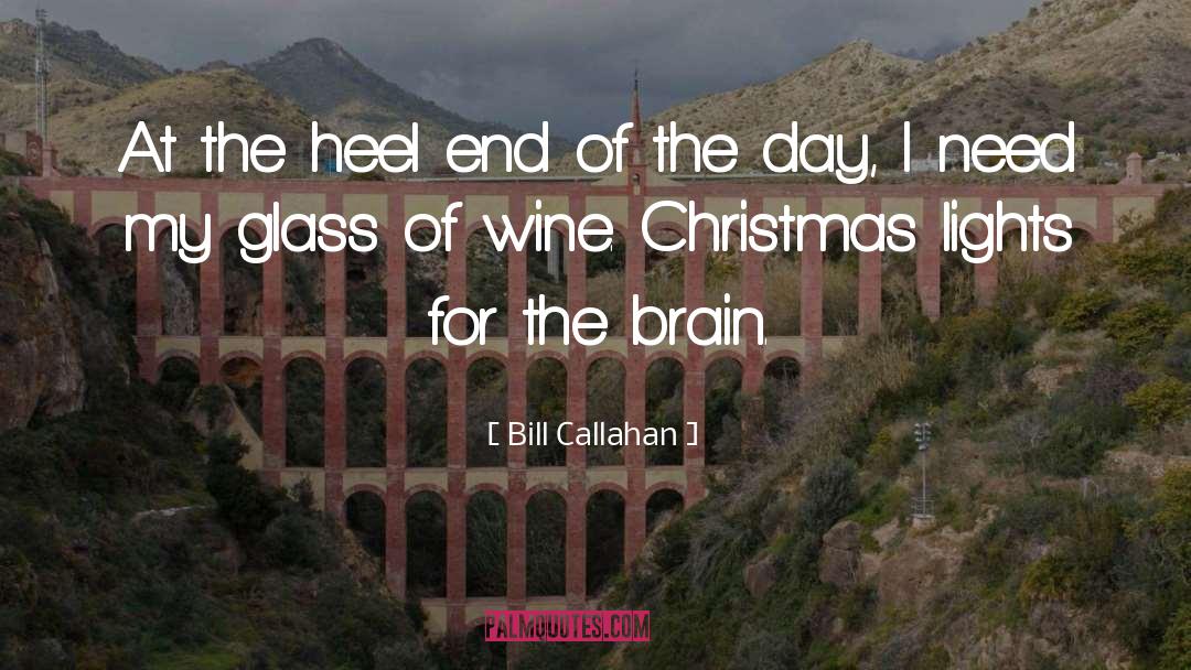 Christmas Lights quotes by Bill Callahan