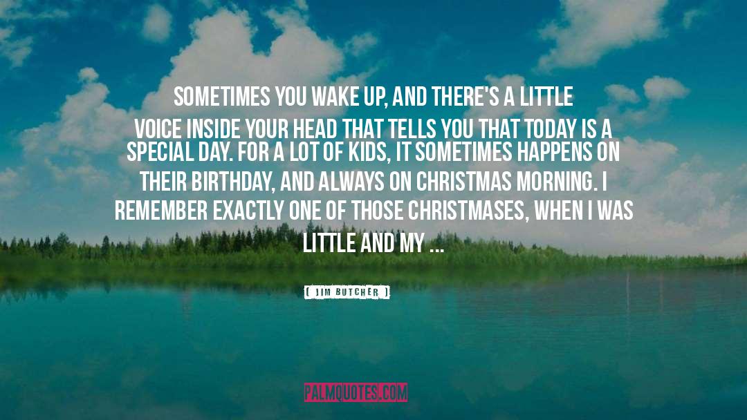 Christmas Morning quotes by Jim Butcher