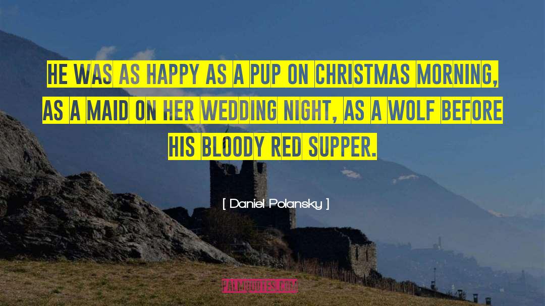 Christmas Morning quotes by Daniel Polansky