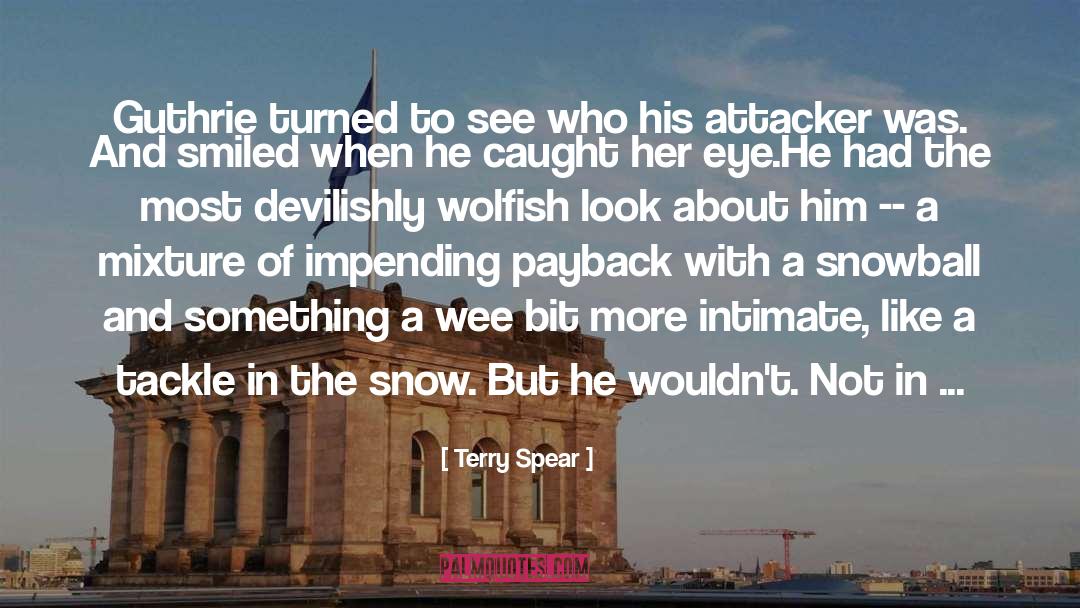 Christmas Paranormal Romance quotes by Terry Spear