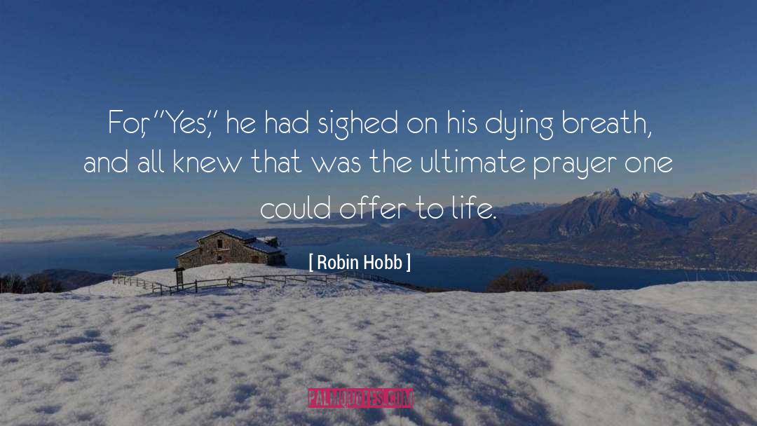 Christmas Prayer quotes by Robin Hobb
