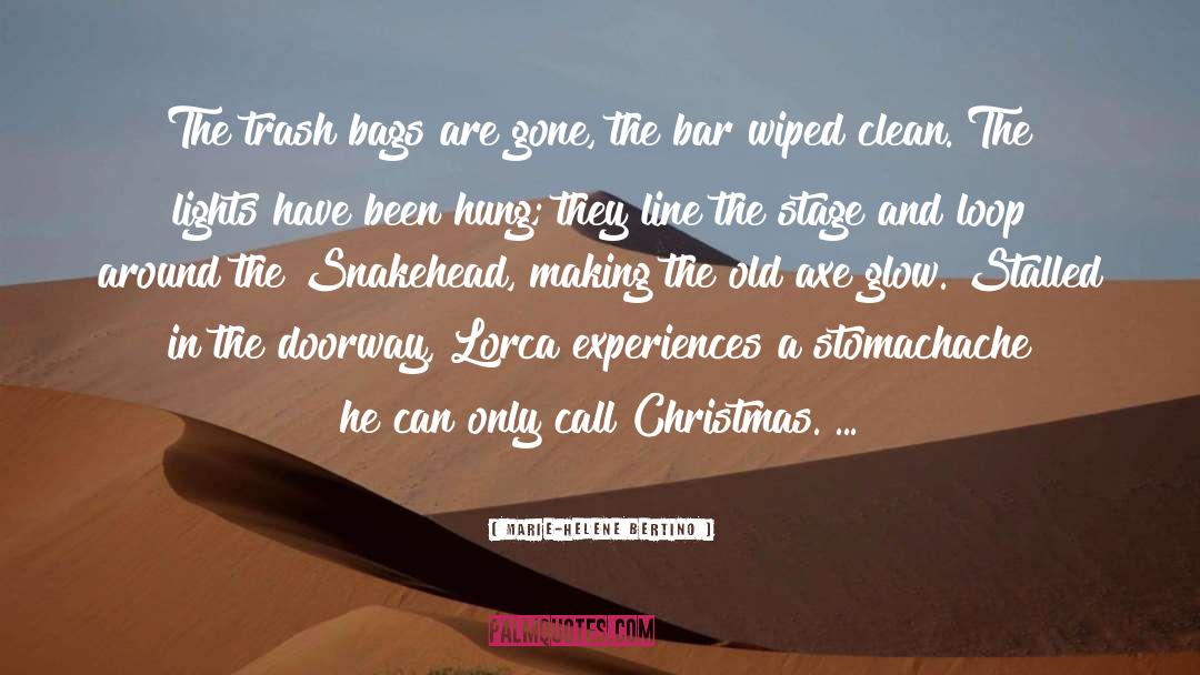 Christmas quotes by Marie-Helene Bertino