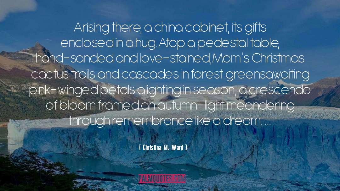 Christmas Season Of Giving quotes by Christina M. Ward