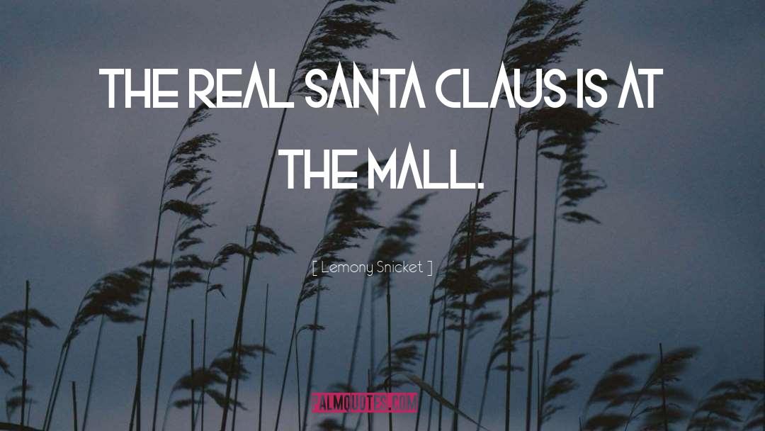 Christmas Shopping quotes by Lemony Snicket