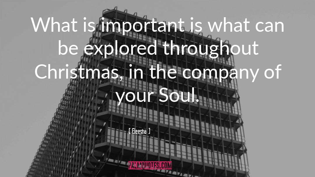 Christmas Spirit quotes by Eleesha