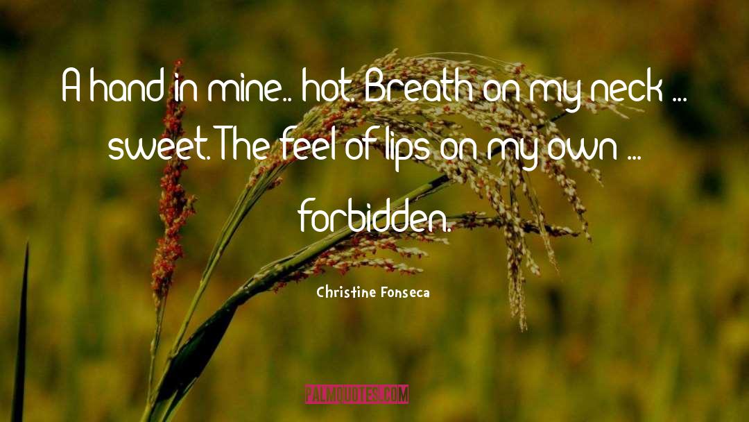 Christmas Sweet And Hot Romance quotes by Christine Fonseca