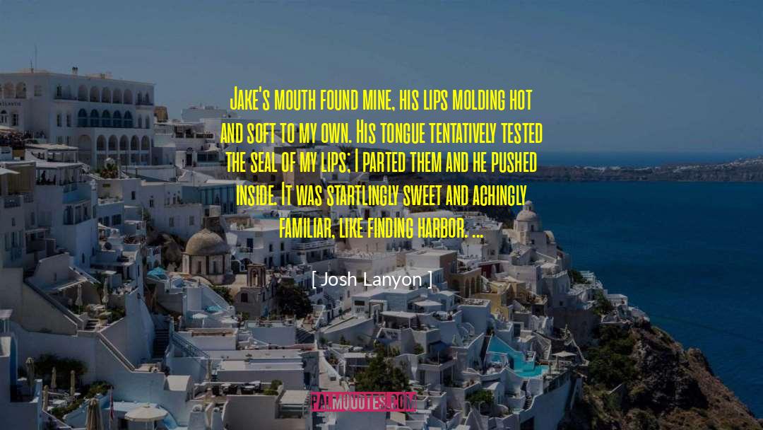Christmas Sweet And Hot Romance quotes by Josh Lanyon