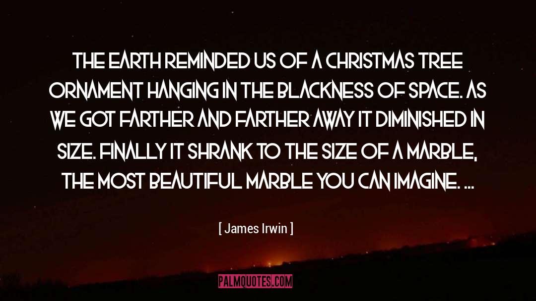 Christmas Tree quotes by James Irwin