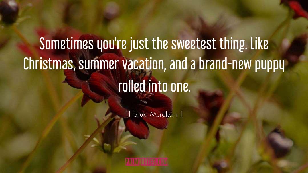 Christmas Vacation Rv quotes by Haruki Murakami