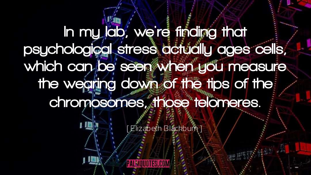 Chromosomes quotes by Elizabeth Blackburn