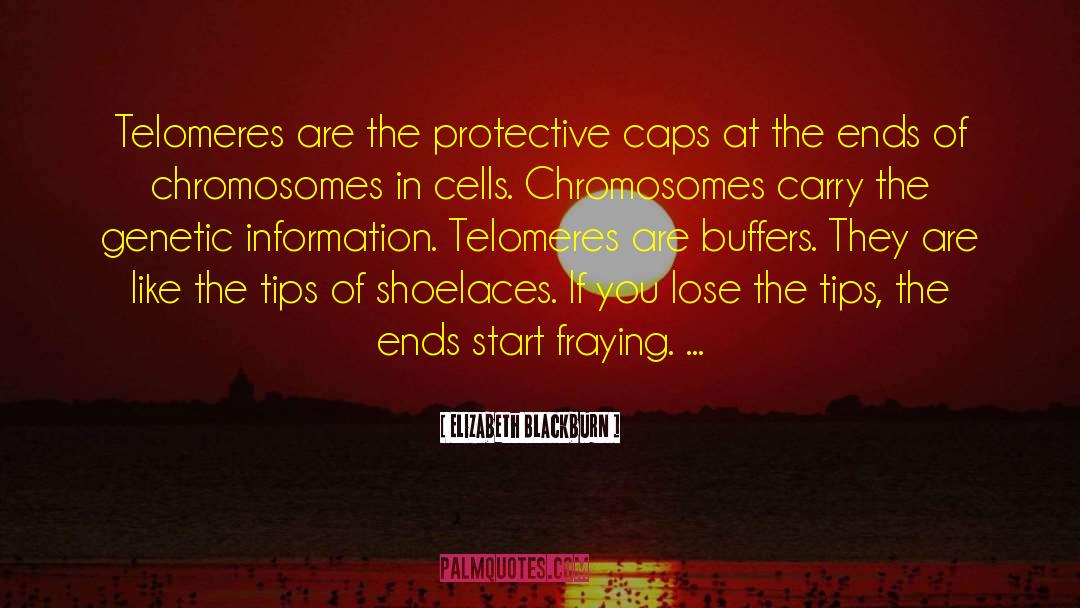 Chromosomes quotes by Elizabeth Blackburn