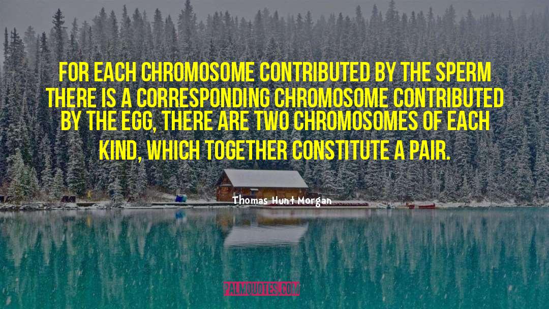Chromosomes quotes by Thomas Hunt Morgan