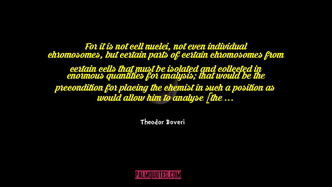 Chromosomes quotes by Theodor Boveri