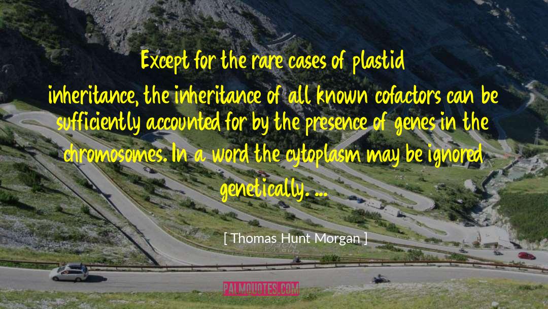 Chromosomes quotes by Thomas Hunt Morgan