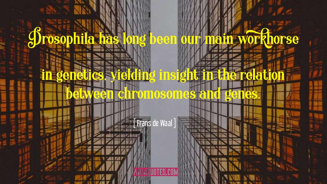 Chromosomes quotes by Frans De Waal