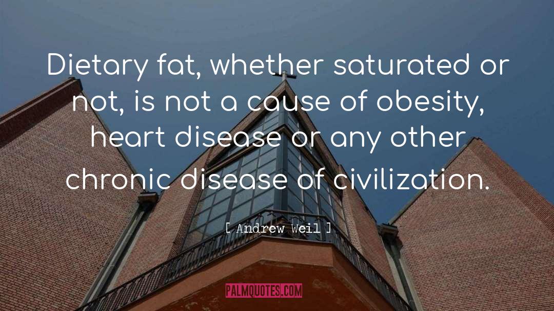 Chronic Disease quotes by Andrew Weil