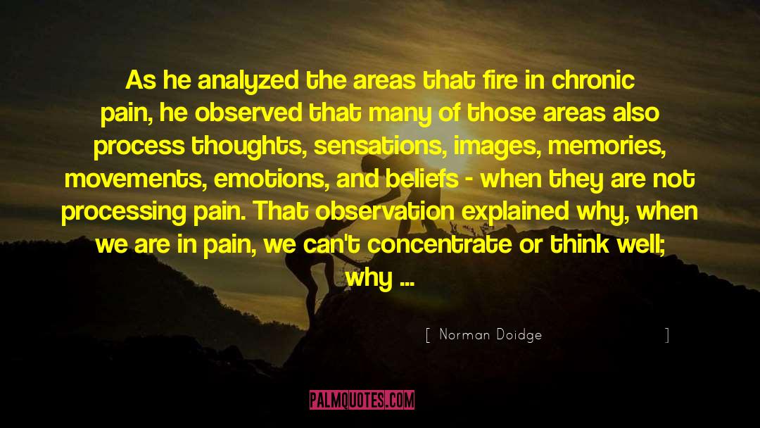 Chronic Pain quotes by Norman Doidge