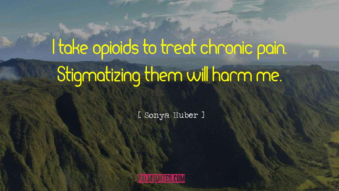 Chronic Pain Stigam quotes by Sonya Huber