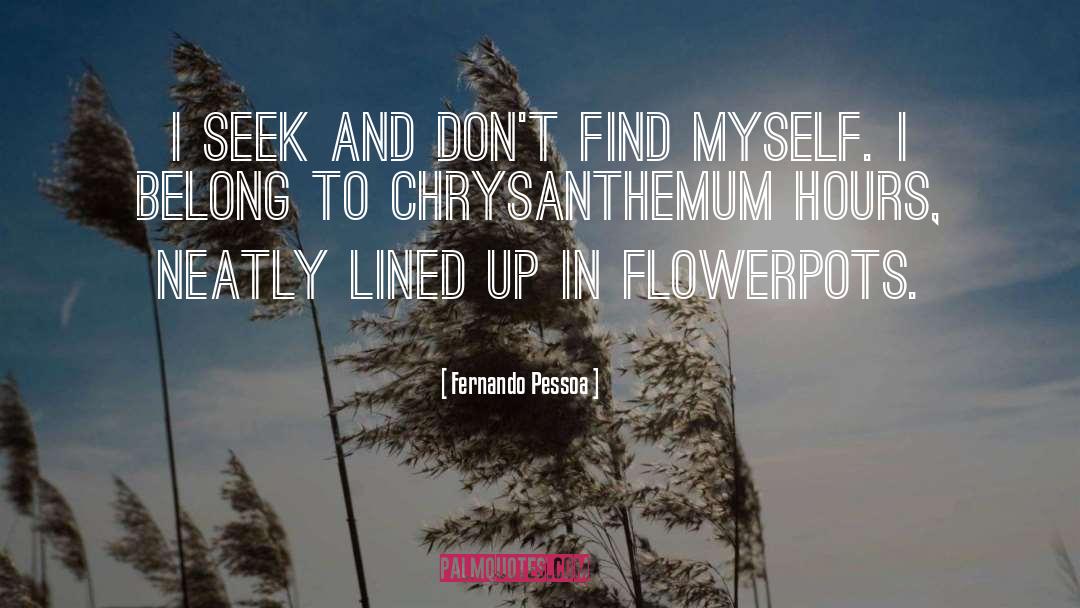 Chrysanthemums quotes by Fernando Pessoa