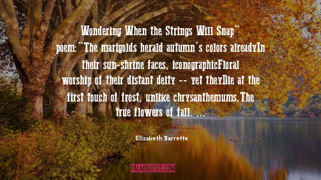 Chrysanthemums quotes by Elizabeth Barrette