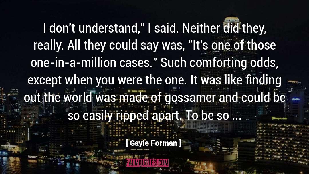 Chrystos I Dont Understand quotes by Gayle Forman