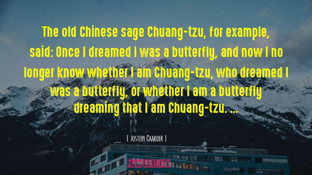 Chuang quotes by Jostein Gaarder