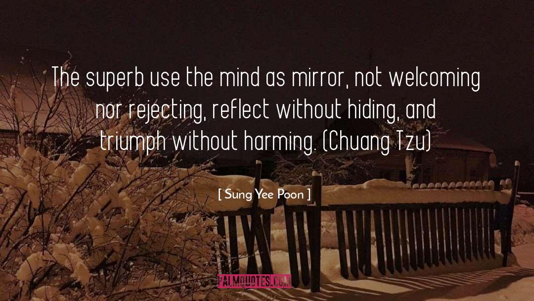 Chuang Tzu quotes by Sung Yee Poon
