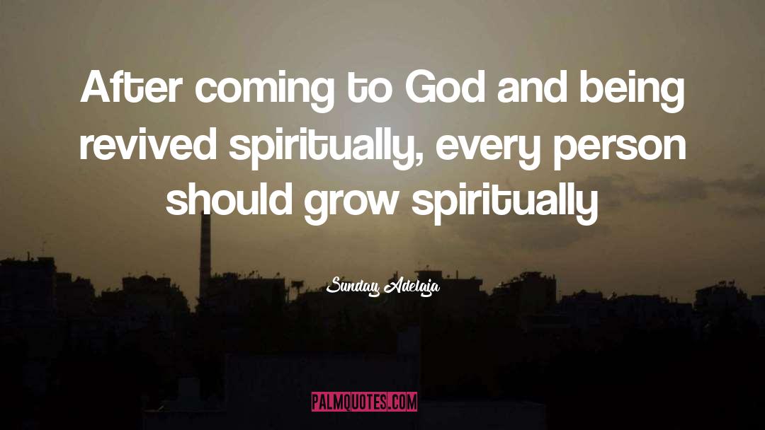 Church Growth quotes by Sunday Adelaja