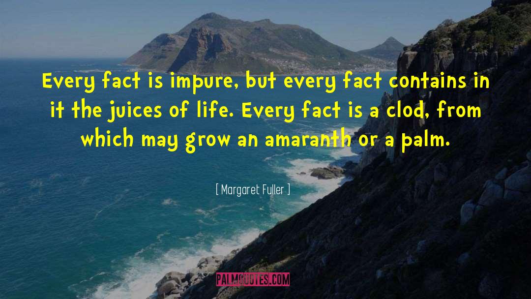 Church Life quotes by Margaret Fuller