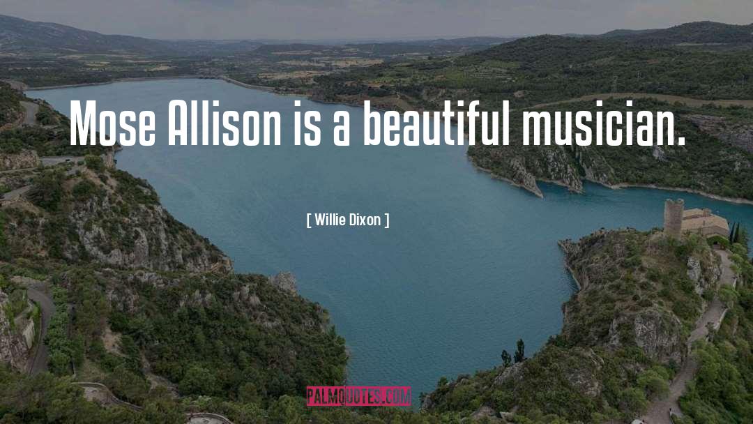 Church Musician quotes by Willie Dixon