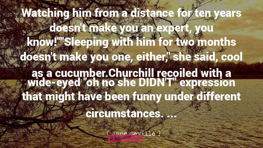 Churchill quotes by Jane Seville