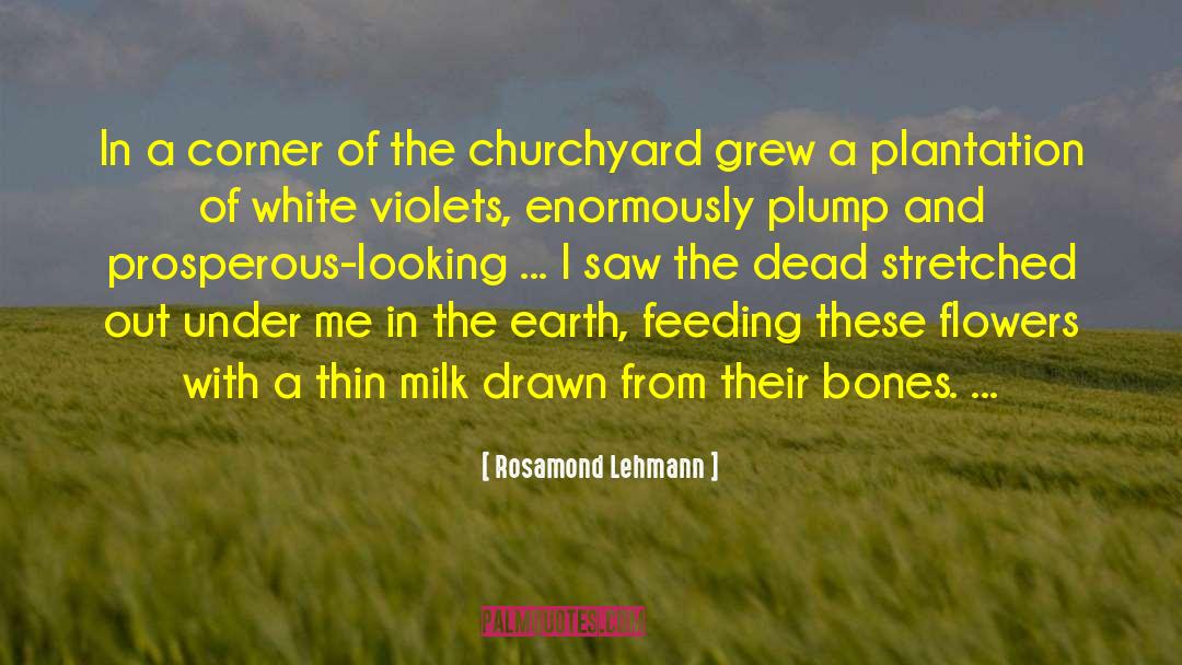 Churchyard quotes by Rosamond Lehmann