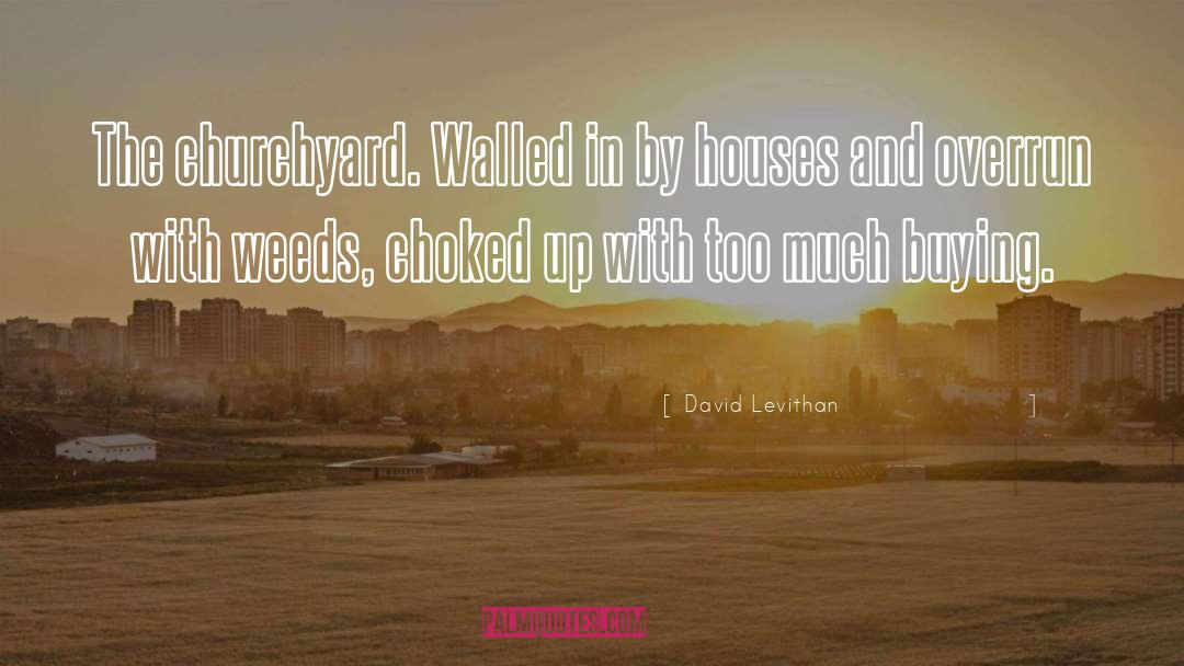 Churchyard quotes by David Levithan
